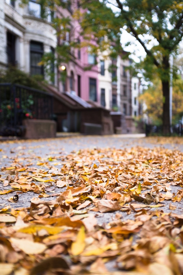 Rowhouses in New York City