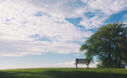 Bench on a hill by a tree.