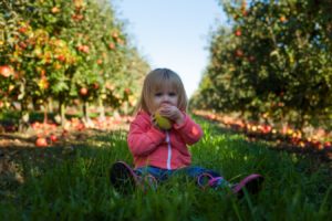 Baby in apple orchard.