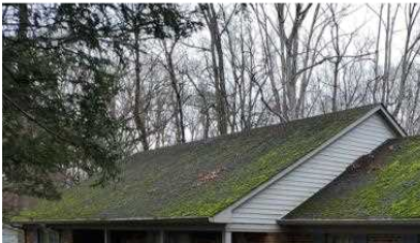 Moss covered roof.