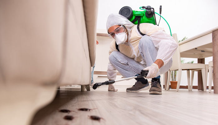 Pest Control Orem Utah